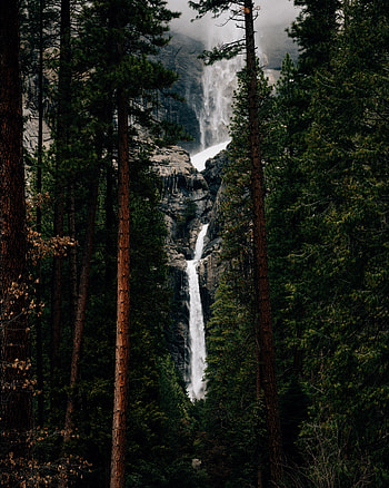 Nature, Water, Trees, Waterfall, Break, Precipice, Flow HD phone wallpaper