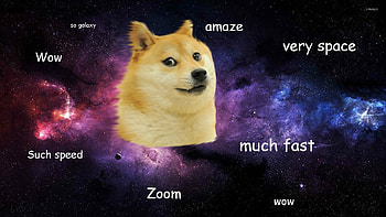 Doge Meme HD wallpaper