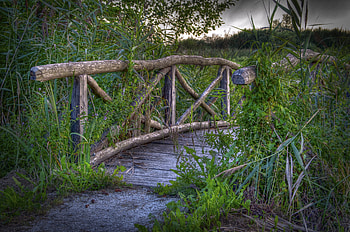 Plants, Landscape, Nature, Grass, Bridge HD wallpaper