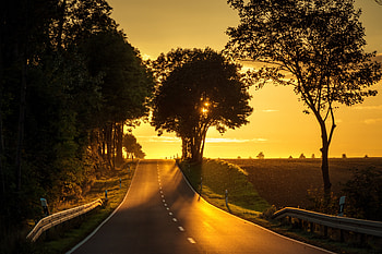 Road, sunset, tree, landscape HD wallpaper