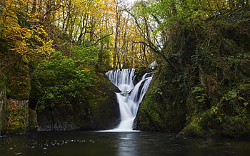 Waterfall in Autumn Forest, in, Forest, nature, Autumn, Waterfall HD wallpaper