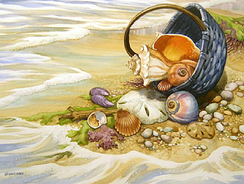 Beachcomber's Basket, basket, shells, sand, seaweed, water, beach HD wallpaper
