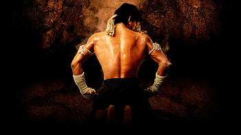 2003, Ong-Bak movie HD wallpaper