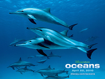 Disney, Movie, Oceans, Dolphin, Oceans (Movie) HD wallpaper