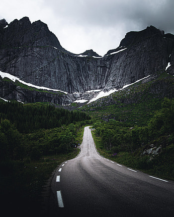 Nature, Trees, Rocks, Road, Snow Covered, Snowbound, Dahl, Distance HD phone wallpaper