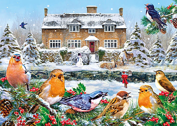 winter birds, winter, birds, snow, house HD wallpaper