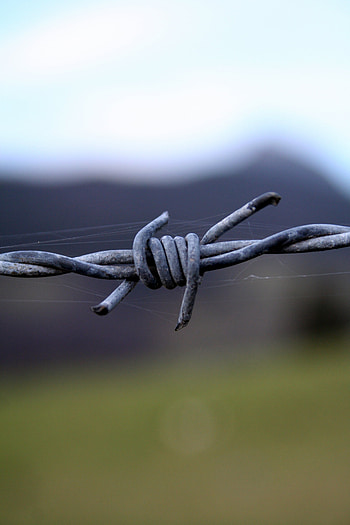 Macro, Blur, Smooth, Plexus, Wire, Barbed Wire HD phone wallpaper