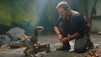 Owen Grady, Velociraptor HD wallpaper
