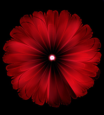Abstract, Flower, Fractal, Glow, Digital HD phone wallpaper