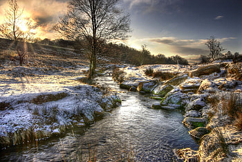 A Wnter's Sunrise, winter, flowing creek, snow, trees, sunrise HD wallpaper