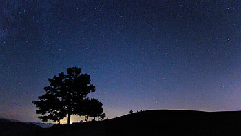 Tree Mountain Silhouette Background Starry Sky During Nighttime Dark Background HD wallpaper