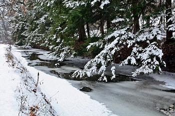winter park, winter scene, winter time, winter woods HD wallpaper