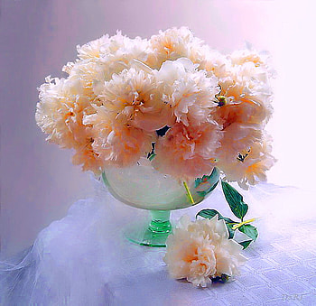 Beauties, table, pink, white, aqua vase, peonies, green HD wallpaper