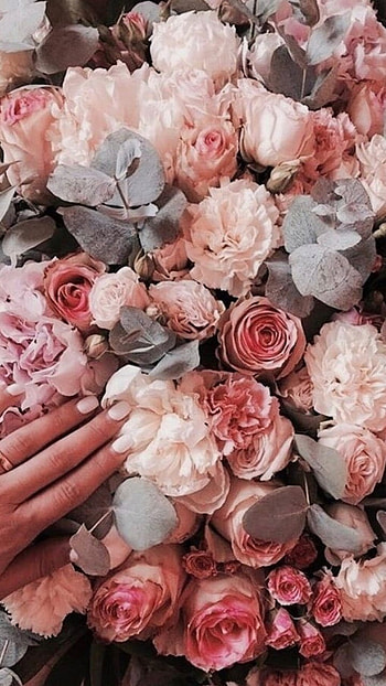 Preety Aesthetic, Rose HD phone wallpaper