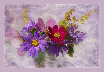 still life, bouquet, graphy, beautiful, nice, gently, flower, cool, flowers, , harmony HD wallpaper