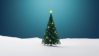 Simple Christmas tree, Minimalistic charm, Classic beauty, Timeless elegance HD wallpaper