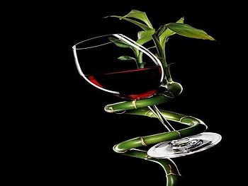 bamboo, spiral, vine, red, flower HD wallpaper