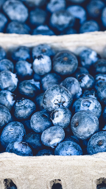 Refreshing blueberry martini, Fruity and refreshing, Nature-inspired, Tasty cocktail HD phone wallpaper