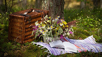 Book basket, Holiday picnic, Flowers HD wallpaper