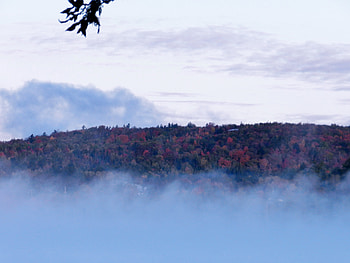 Autumn In The Fog, Fog, graphy, Forest, Nature, Autumn, Clouds, Sky HD wallpaper