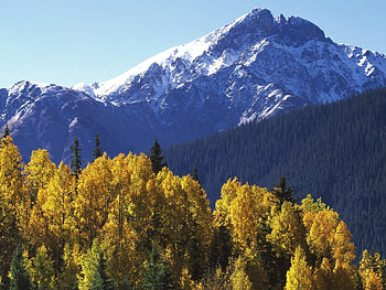 Nature, Trees, Mountains, Autumn, Vertex, Top HD wallpaper