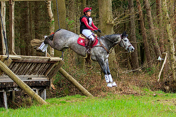 Home, Equestrian sports, Eventing, Horse HD wallpaper