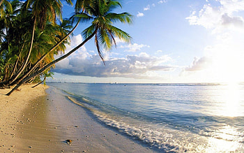 Trinidad and Tobago travels, Trinidad and Tobago , Popular backgrounds, Caribbean nation HD wallpaper