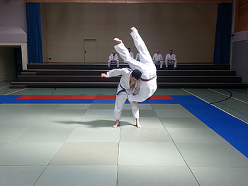 ESV Jahn Treysa Judo, Training facility, Community spirit, German Judo excellence HD wallpaper