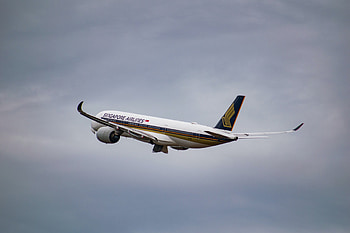Singapore Airlines, COVID-19 travel pass, App, Zo werkt het HD wallpaper