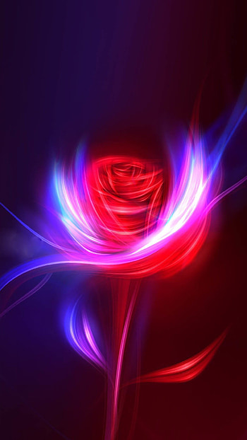 Rose, Swirls HD phone wallpaper