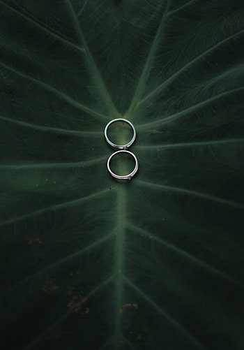 Love, Wedding, Rings, Couple, Pair, Wedding Rings HD phone wallpaper