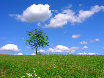 ... Windows RG - Me Bliss by eyeJ HD wallpaper