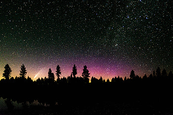 Comet In The Pines, space, stars, nature HD wallpaper