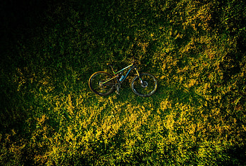 Grass, View From Above, Miscellanea, Miscellaneous, Bicycle HD wallpaper