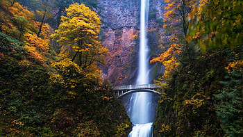 Multnomah Falls, Oregon, leaves, water, colors, bridge, trees, autumn HD wallpaper