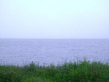 A nice view, blue, grass, sky, water HD wallpaper