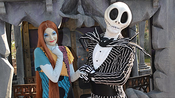 Jack Skellington (Mr. Jack) and Sally with Ghost Dog Zero Meet . HD wallpaper
