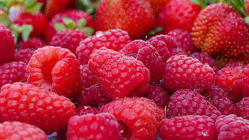 Food, Raspberry, Berries, Ripe, Lots Of, Multitude HD wallpaper