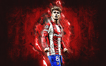 Antoine Griezmann, atleticomadrid, soccer, antoinegriezmann, atletico, atleti, football, sport, french HD wallpaper