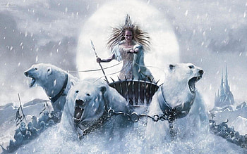 Chronicles of Narnia, bears, white, fantasy, snow, queen, narnia HD wallpaper