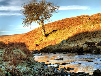 Frosty Colours, graphy, trees, nature, water, rocks, rivers HD wallpaper