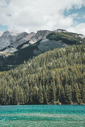 Nature, Water, Trees, Mountains, Lake, Forest HD phone wallpaper