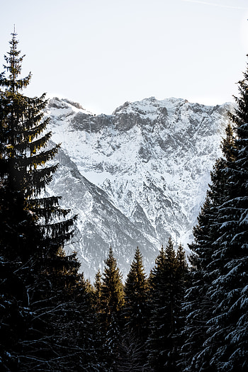 Landscape, Winter, Nature, Trees, Mountains, Snow HD phone wallpaper