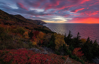 Coastline, sky, nature, tree HD wallpaper