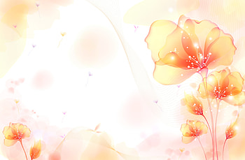 Texture, white, flower, card, orange HD wallpaper