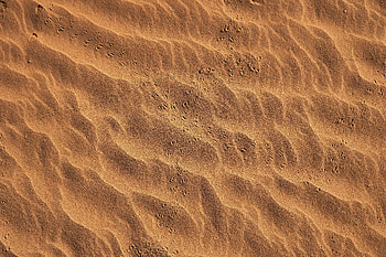 Nature, Beach, Sand, Desert, Traces HD wallpaper
