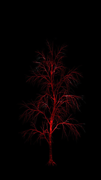 Black And Red, Black Red, Aesthetic HD phone wallpaper