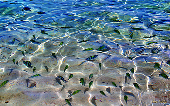 Water, rocks, ocean, beach HD wallpaper