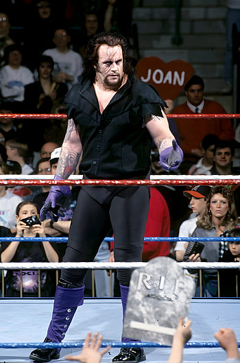 WWF WrestleMania XI : Undertaker., graphy HD phone wallpaper