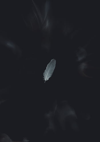 A solitary white feather gracefully falls on a dark minimalist background, creating a serene aesthetic. HD phone wallpaper